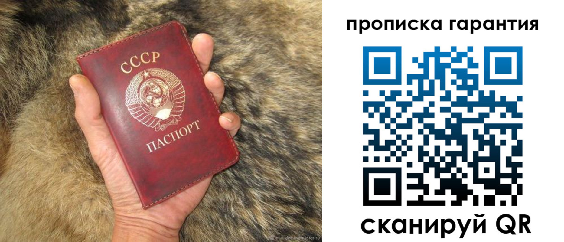 прописка паспорт в Павловске
